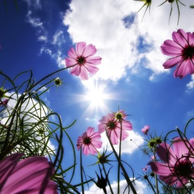 1920 x 1080 HD Wallpapers 1586